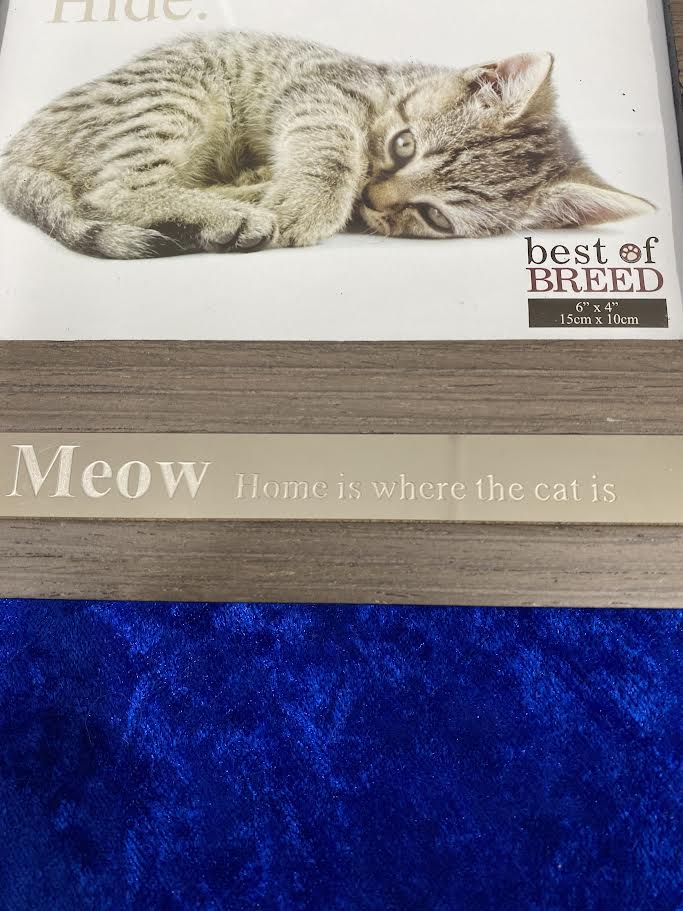 Kitten "Meow" Photo Frame