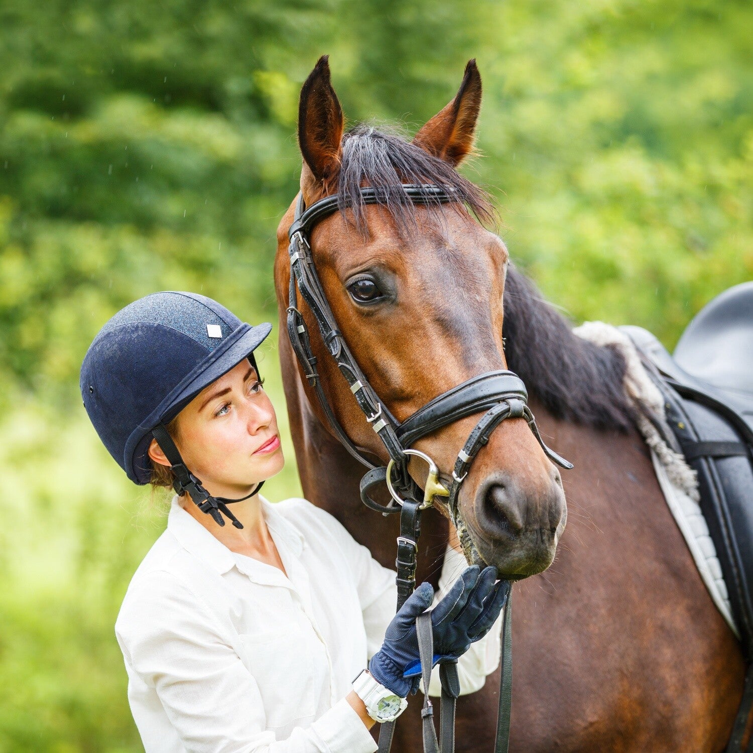 Equestrian