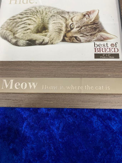 Kitten "Meow" Photo Frame