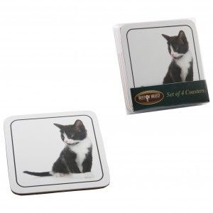 BLACK & WHITE KITTEN SET OF 4 COASTERS