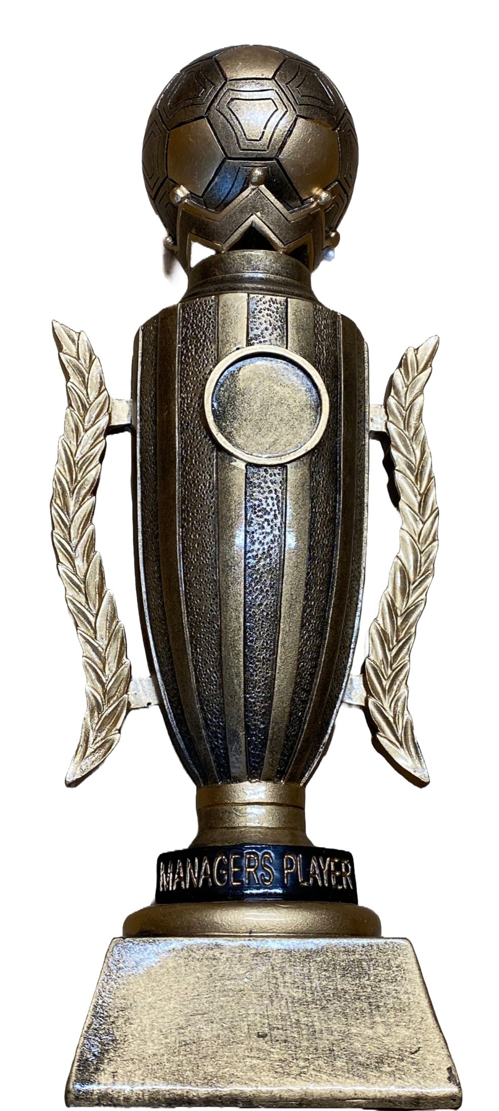 Managers Player Resin Football Award