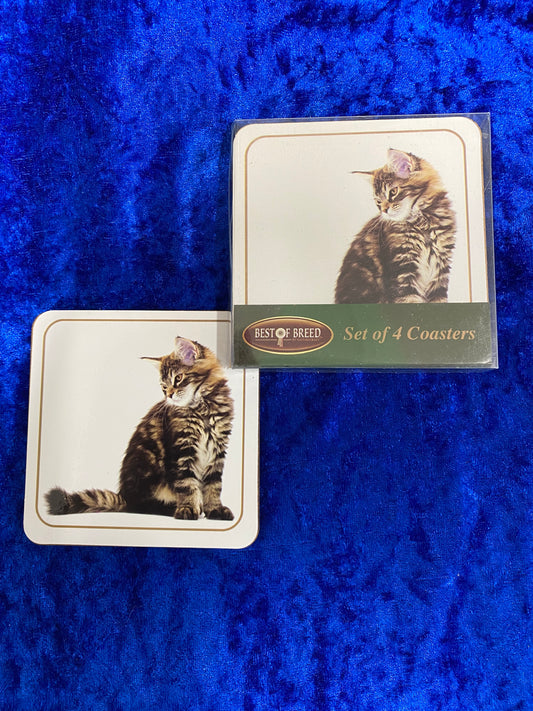 Silver Tabby Cat Set of 4 Coasters